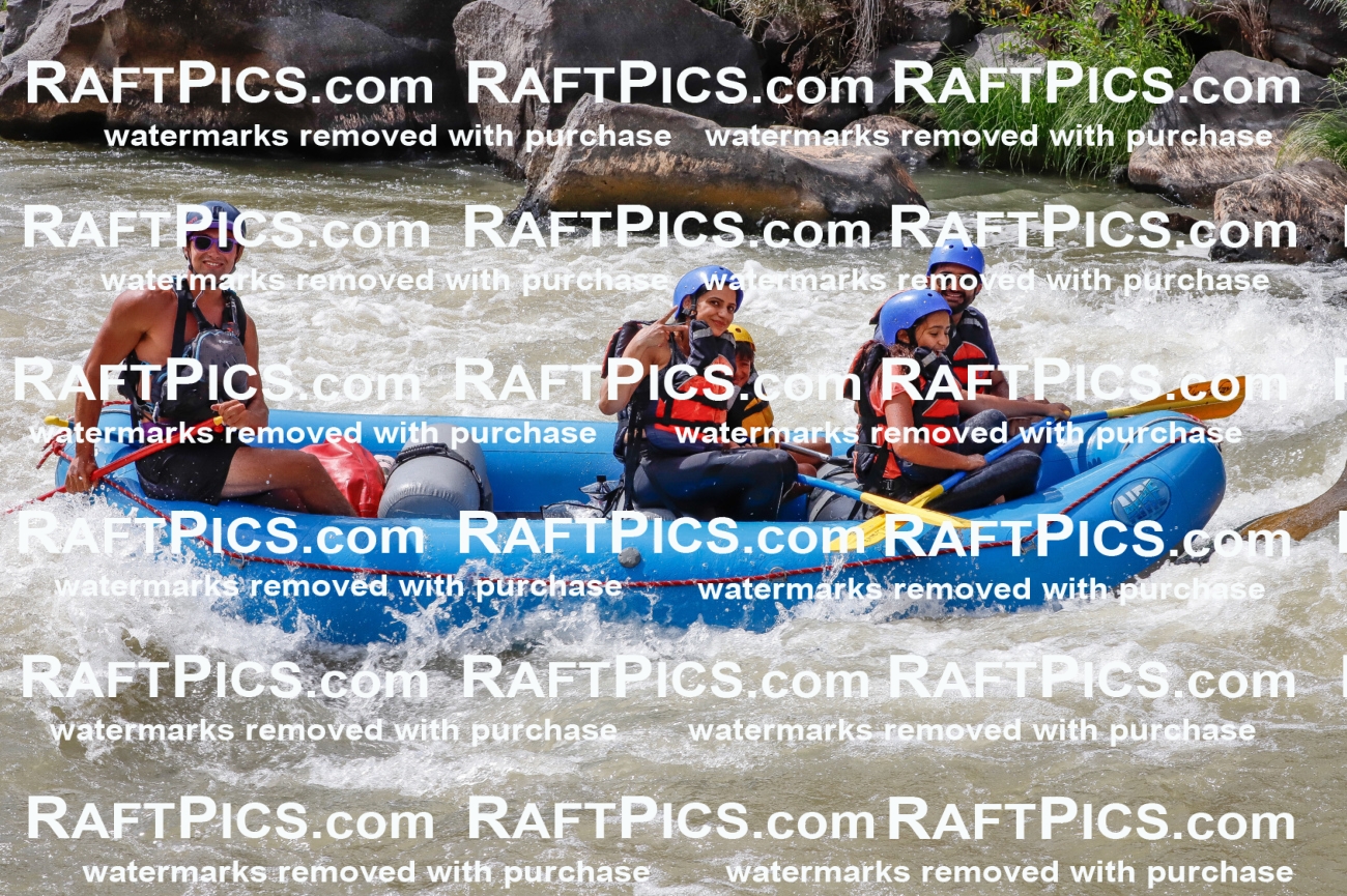 030253_RaftPics_August_31_NewWave_Racecourse_PM_Rui_TC_