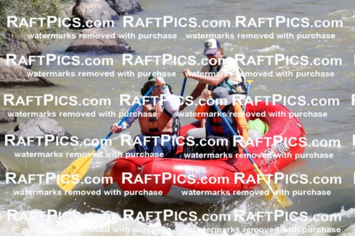 030415_RaftPics_Sept_01_LosRios_Racecourse_AM_Mordy_TC_