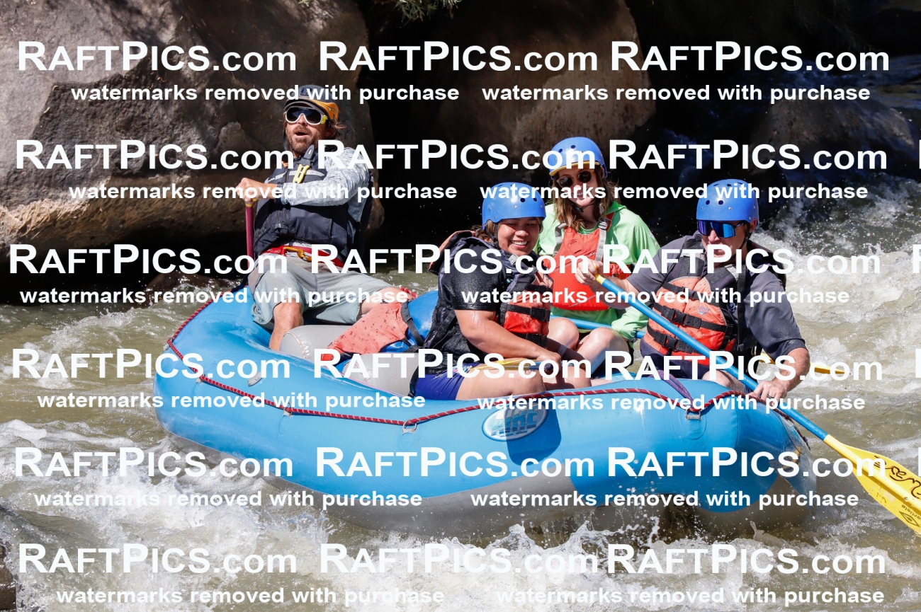 030573_RaftPics_Sept_01_NewWave_Racecourse_PM_Dillon_TC_