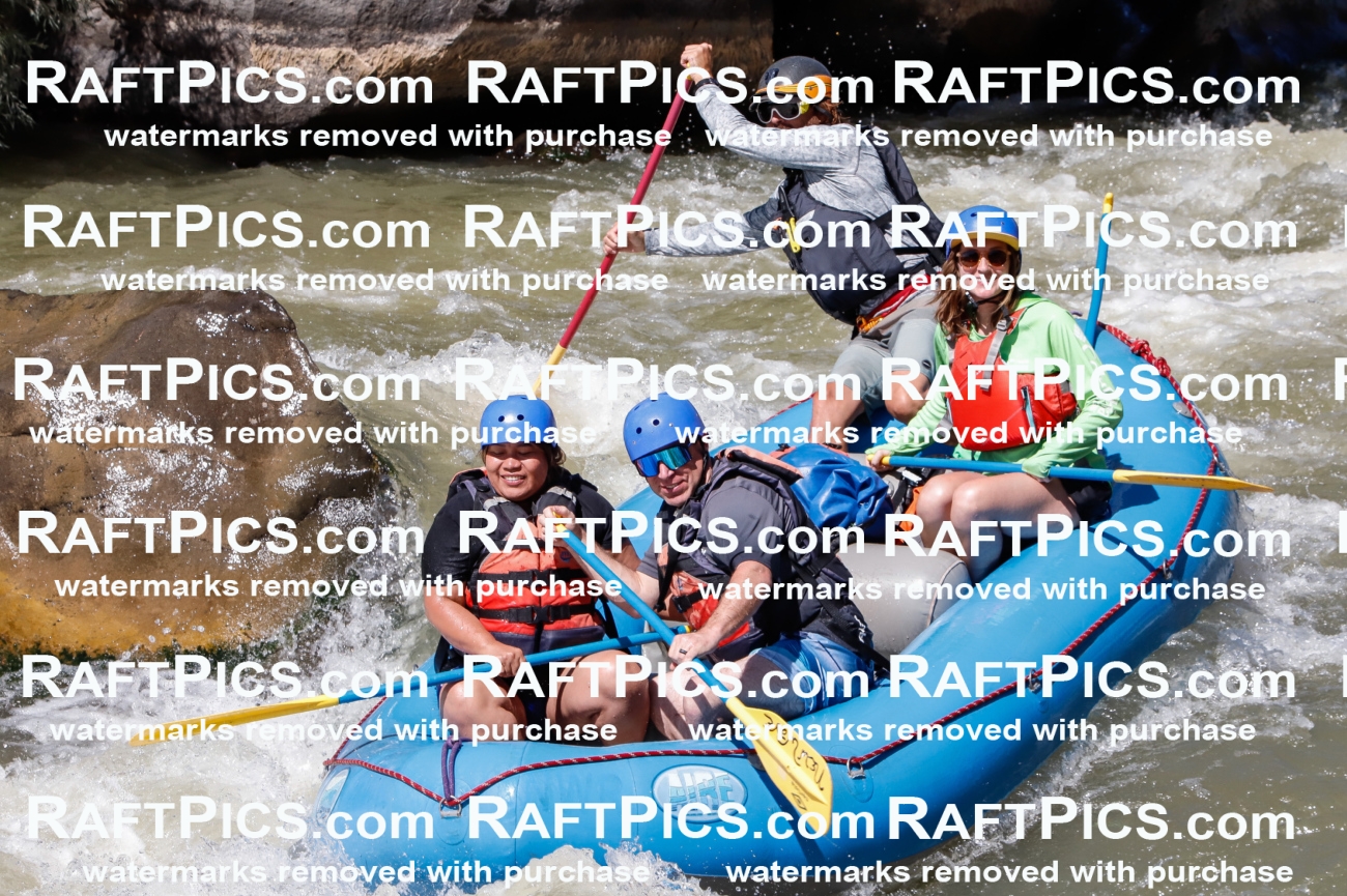 030580_RaftPics_Sept_01_NewWave_Racecourse_PM_Dillon_TC_