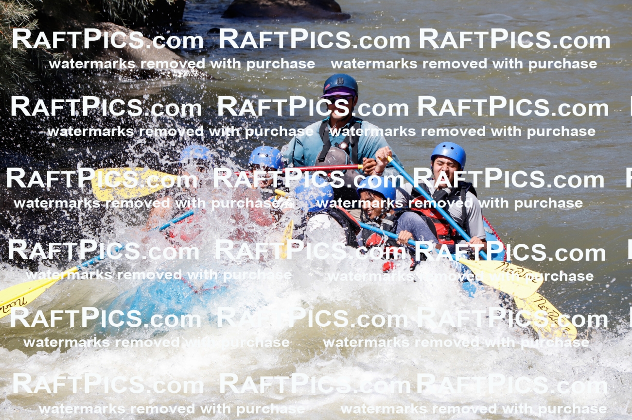 030591_RaftPics_Sept_01_NewWave_Racecourse_PM_Rui_TC_