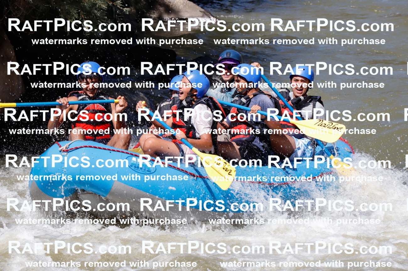 030593_RaftPics_Sept_01_NewWave_Racecourse_PM_Rui_TC_