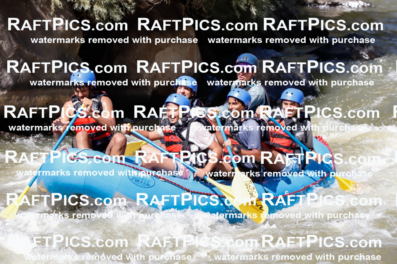 030596_RaftPics_Sept_01_NewWave_Racecourse_PM_Rui_TC_