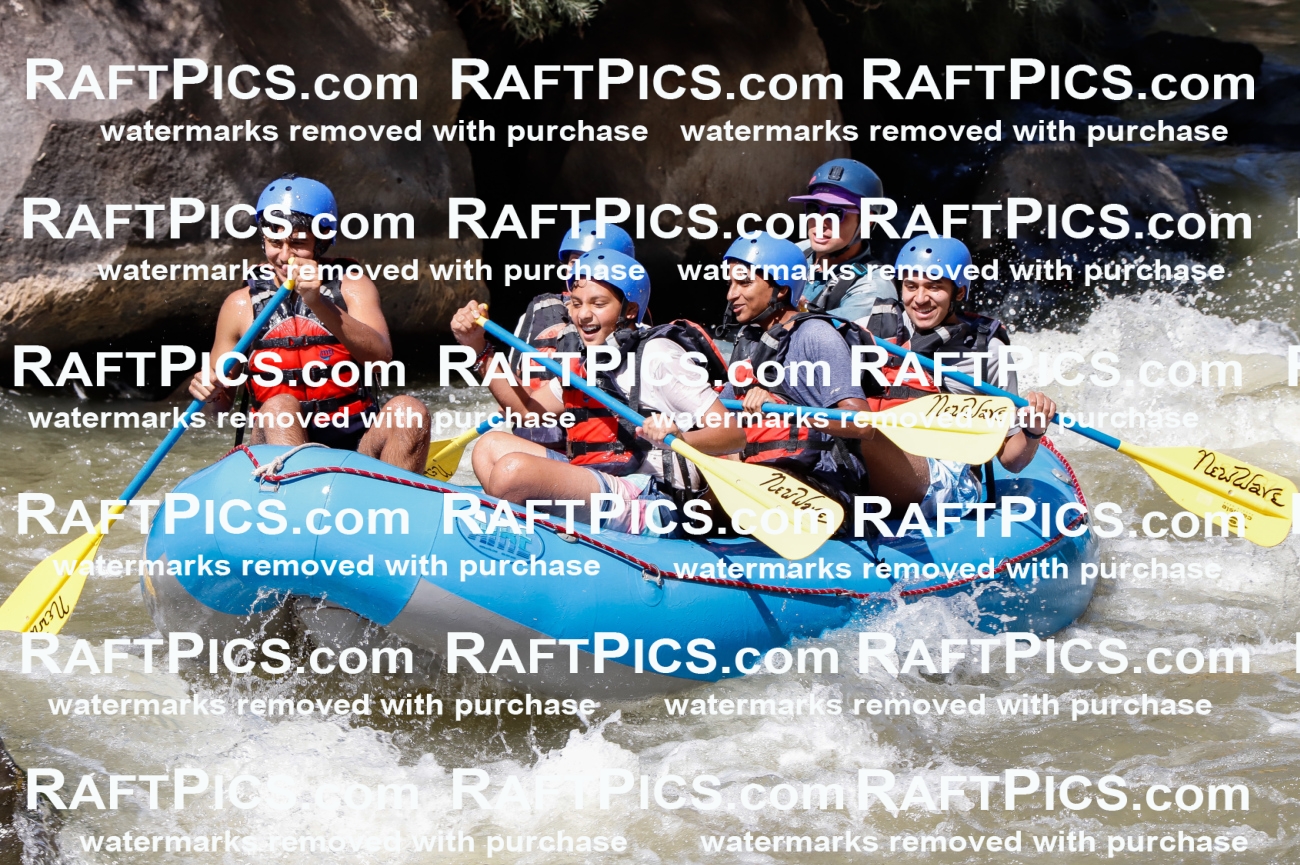 030597_RaftPics_Sept_01_NewWave_Racecourse_PM_Rui_TC_