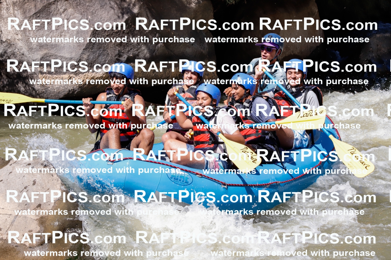 030598_RaftPics_Sept_01_NewWave_Racecourse_PM_Rui_TC_