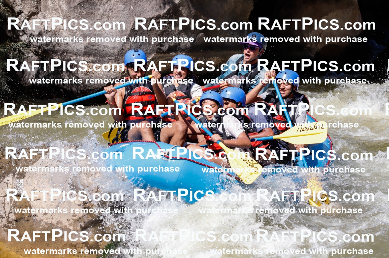 030599_RaftPics_Sept_01_NewWave_Racecourse_PM_Rui_TC_