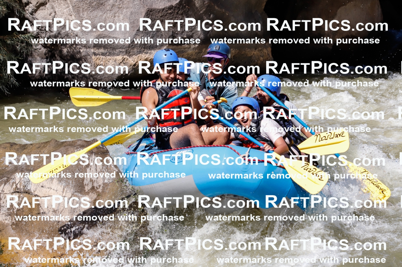 030600_RaftPics_Sept_01_NewWave_Racecourse_PM_Rui_TC_