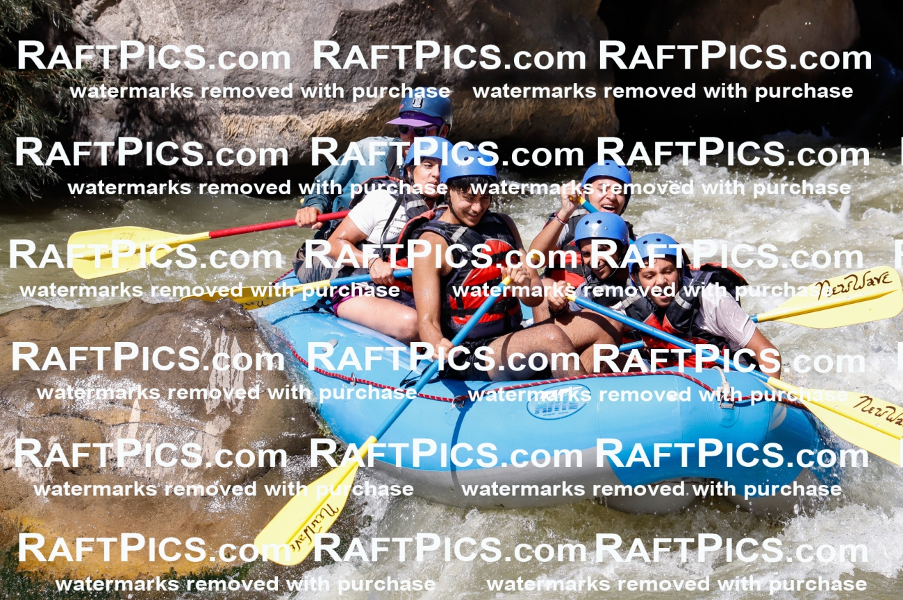 030601_RaftPics_Sept_01_NewWave_Racecourse_PM_Rui_TC_