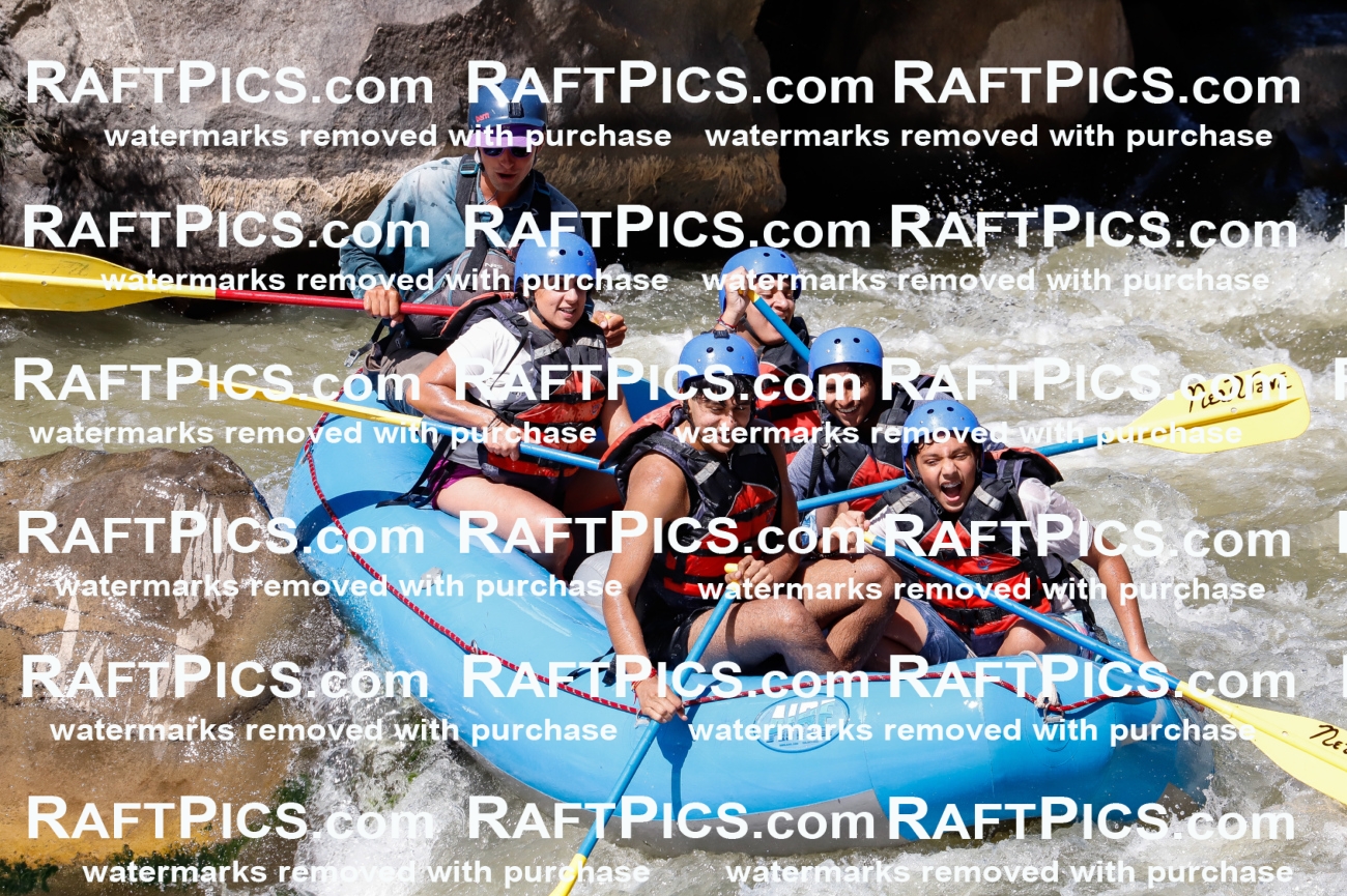 030602_RaftPics_Sept_01_NewWave_Racecourse_PM_Rui_TC_