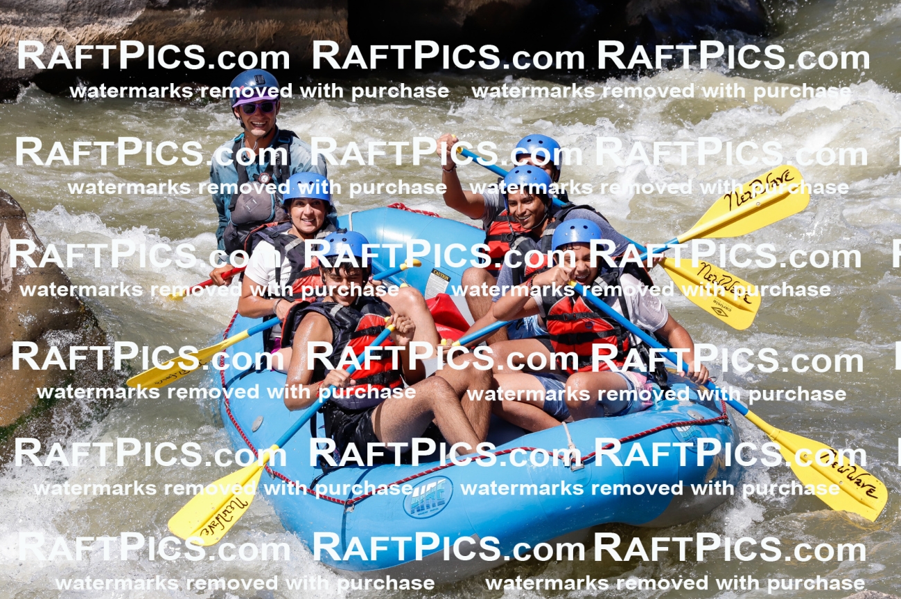 030605_RaftPics_Sept_01_NewWave_Racecourse_PM_Rui_TC_