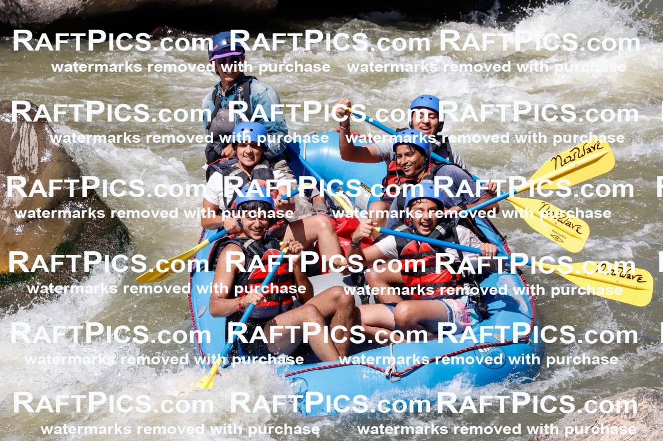 030606_RaftPics_Sept_01_NewWave_Racecourse_PM_Rui_TC_