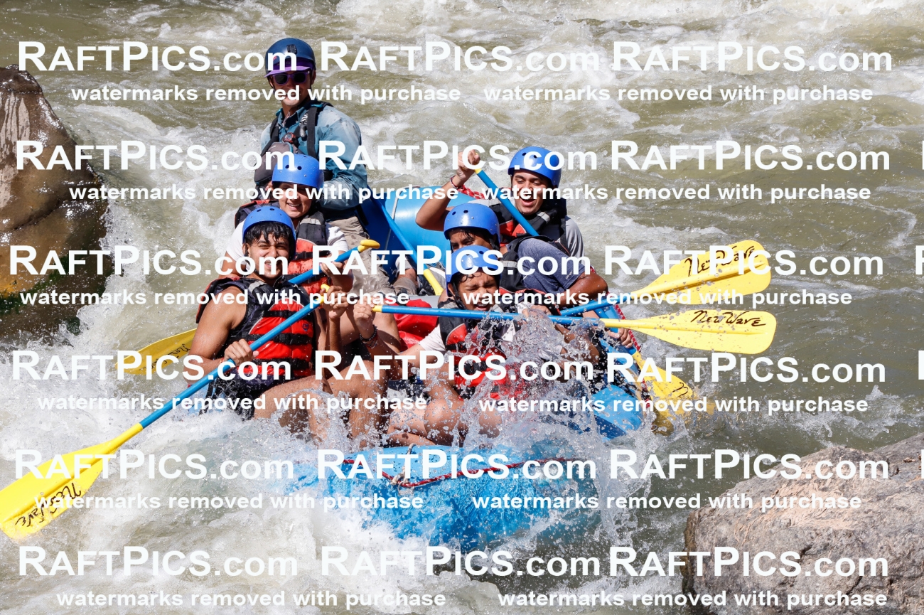 030607_RaftPics_Sept_01_NewWave_Racecourse_PM_Rui_TC_