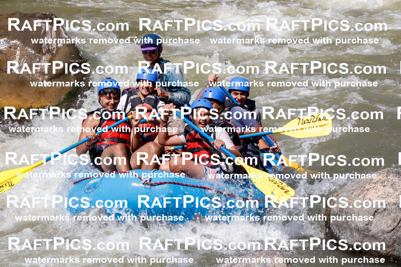 030608_RaftPics_Sept_01_NewWave_Racecourse_PM_Rui_TC_