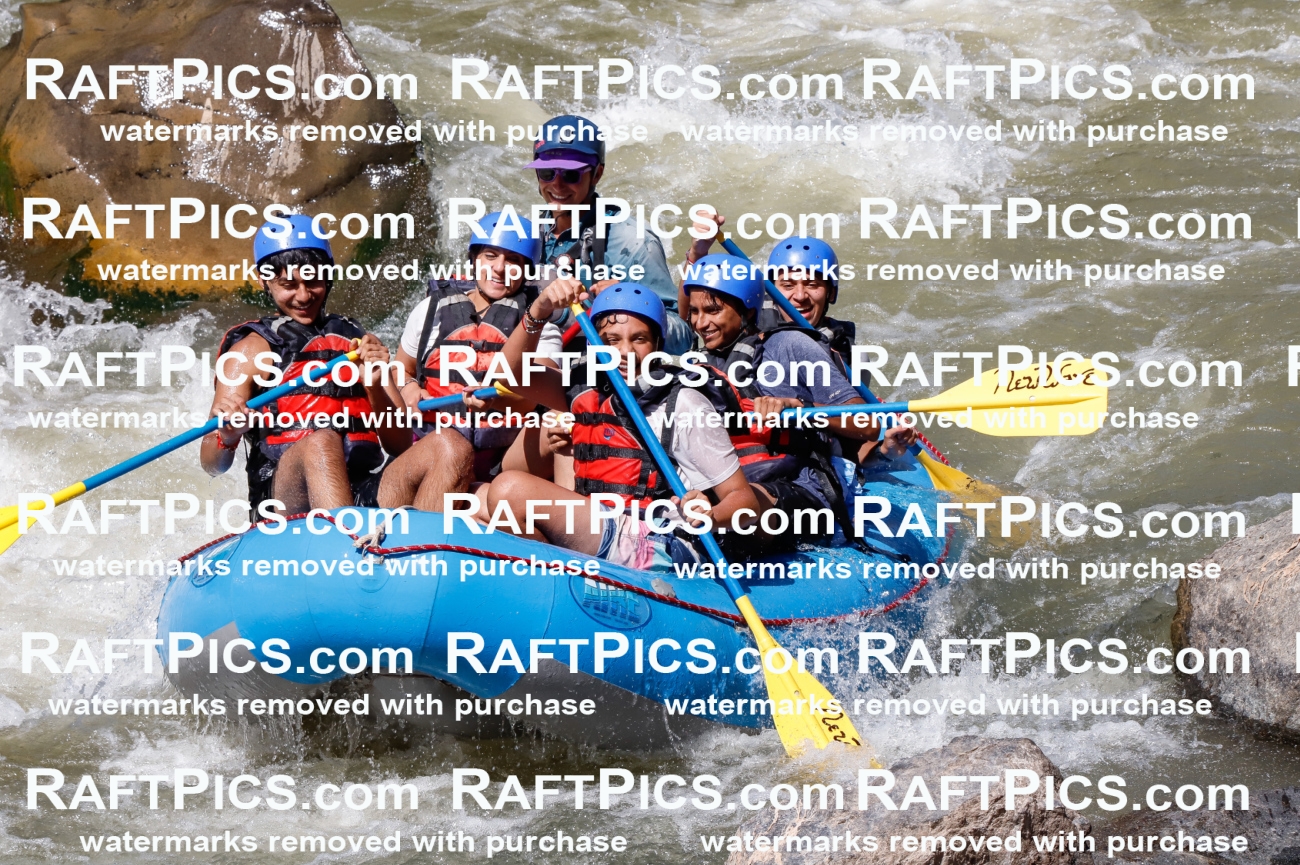 030609_RaftPics_Sept_01_NewWave_Racecourse_PM_Rui_TC_