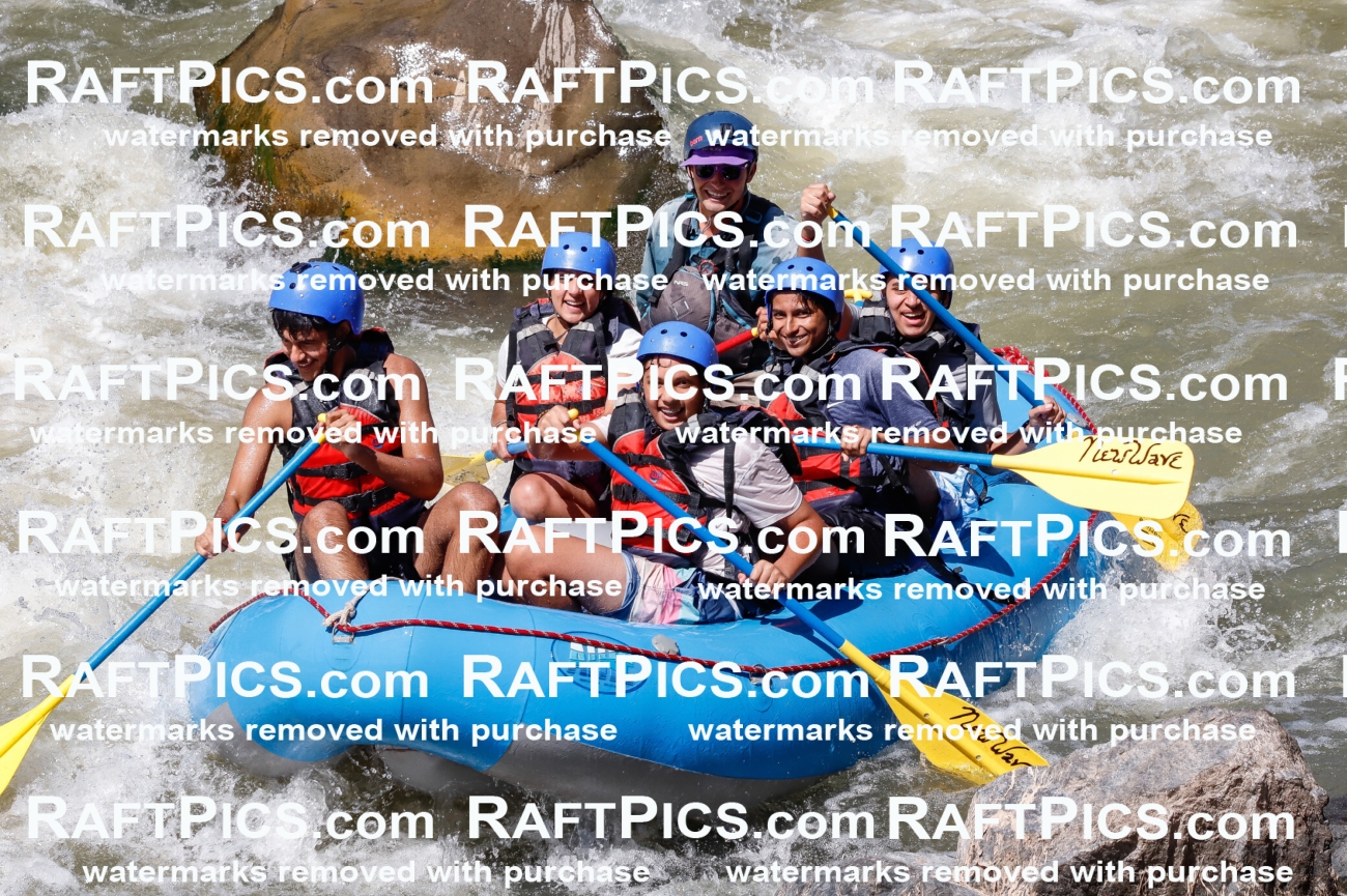 030610_RaftPics_Sept_01_NewWave_Racecourse_PM_Rui_TC_