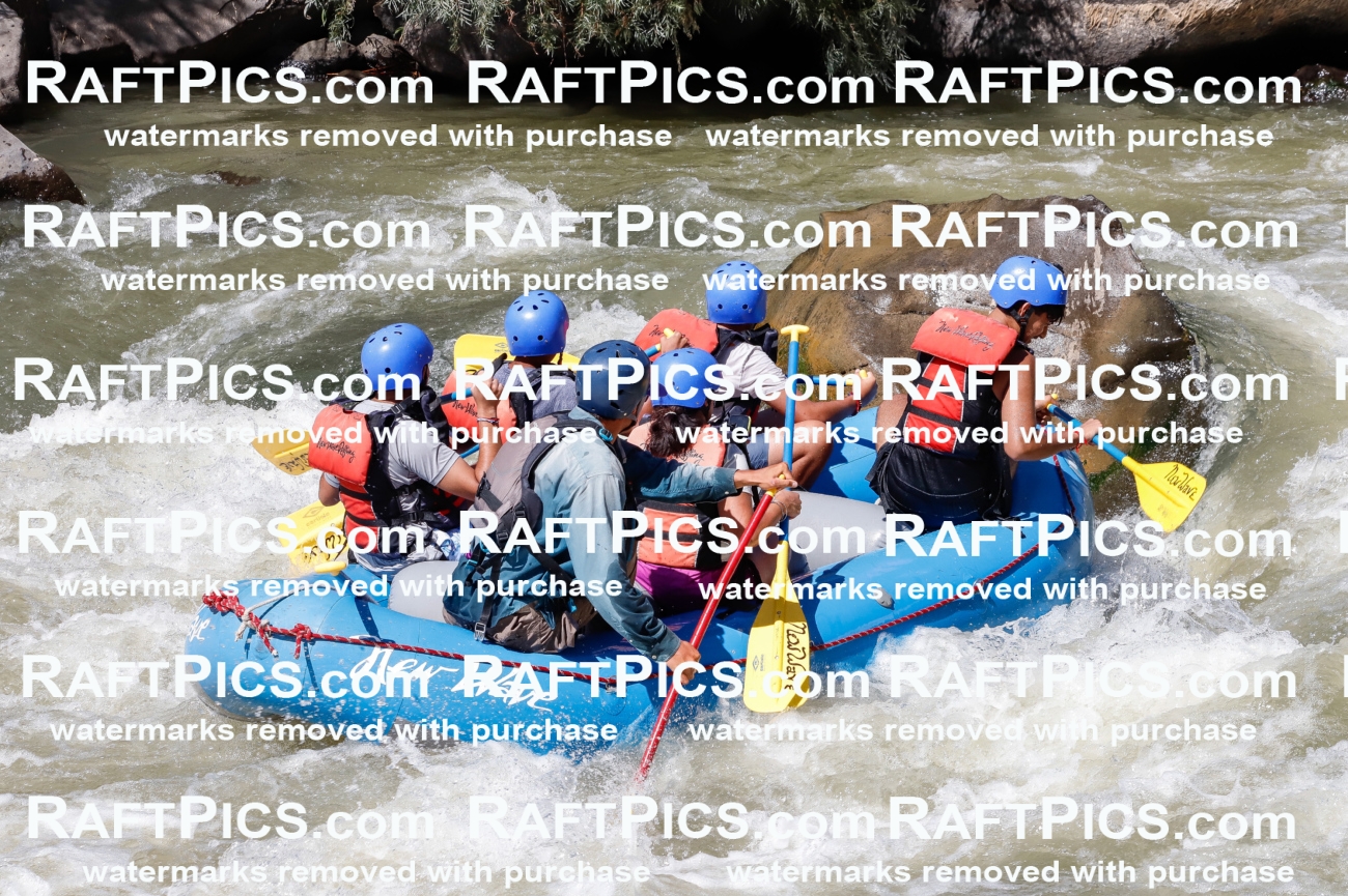 030613_RaftPics_Sept_01_NewWave_Racecourse_PM_Rui_TC_