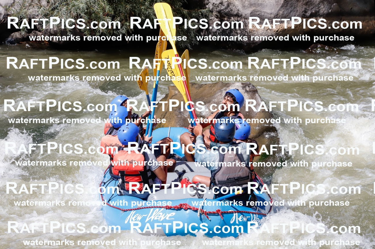 030616_RaftPics_Sept_01_NewWave_Racecourse_PM_Rui_TC_