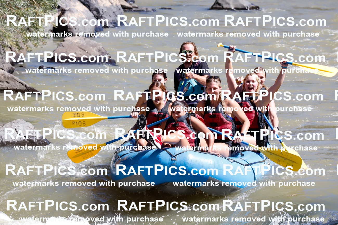 030680_RaftPics_Sept_02_LosRios_Racecourse_AM_Abe_TC_