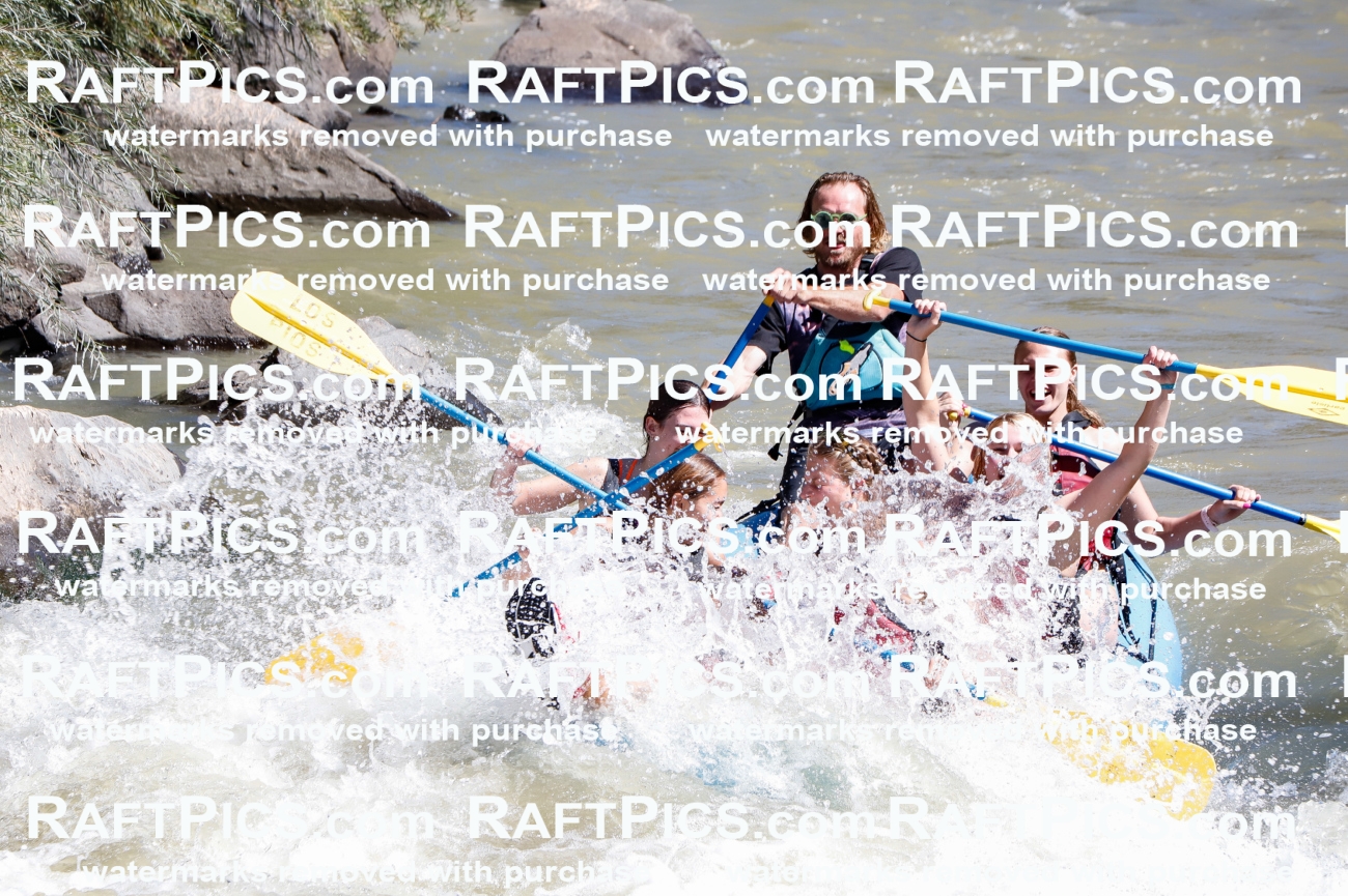 030682_RaftPics_Sept_02_LosRios_Racecourse_AM_Abe_TC_