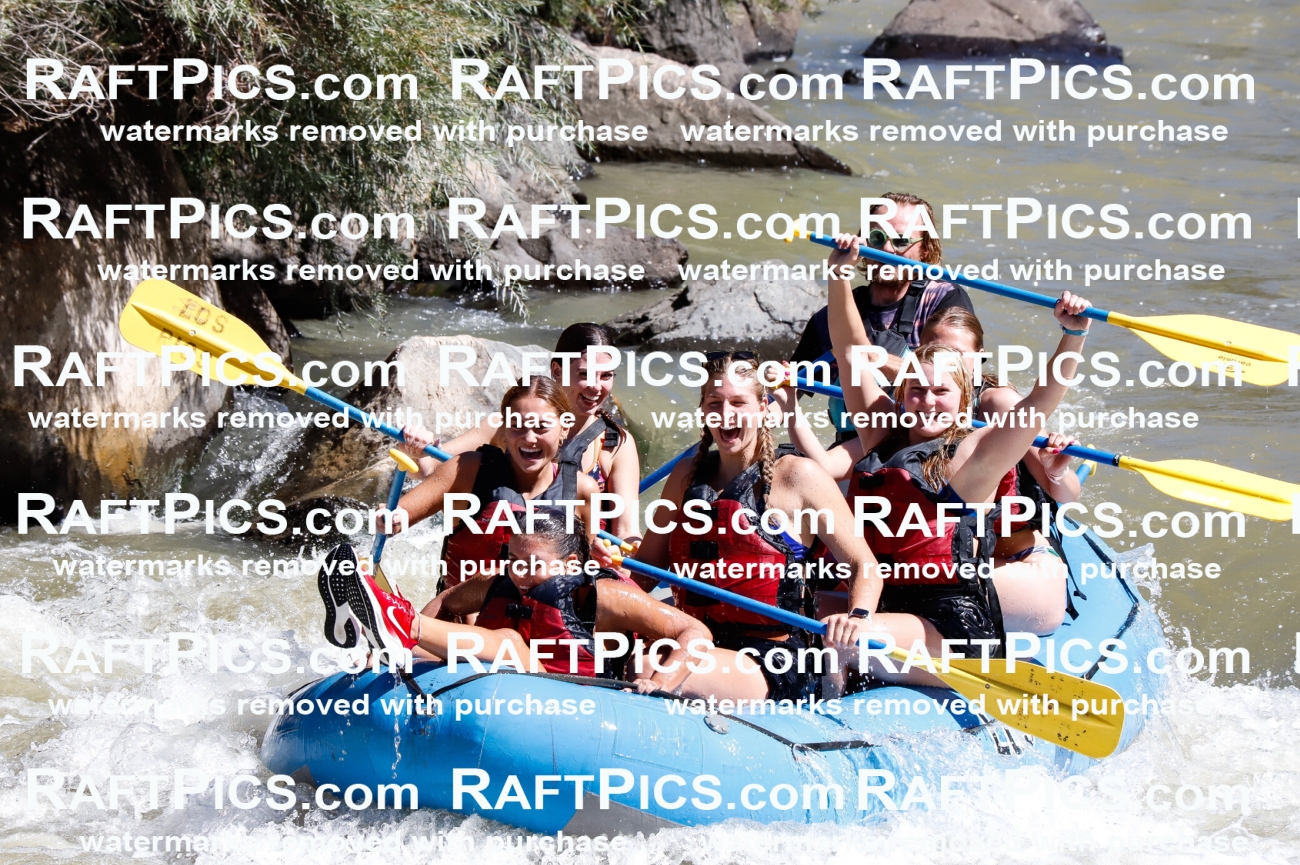 030685_RaftPics_Sept_02_LosRios_Racecourse_AM_Abe_TC_