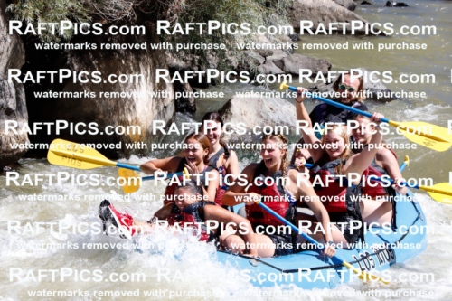 030686_RaftPics_Sept_02_LosRios_Racecourse_AM_Abe_TC_