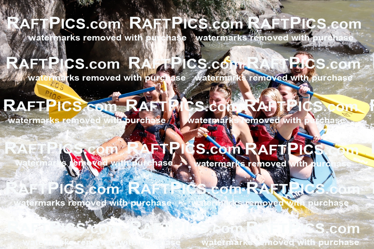 030687_RaftPics_Sept_02_LosRios_Racecourse_AM_Abe_TC_