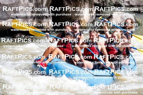 030688_RaftPics_Sept_02_LosRios_Racecourse_AM_Abe_TC_