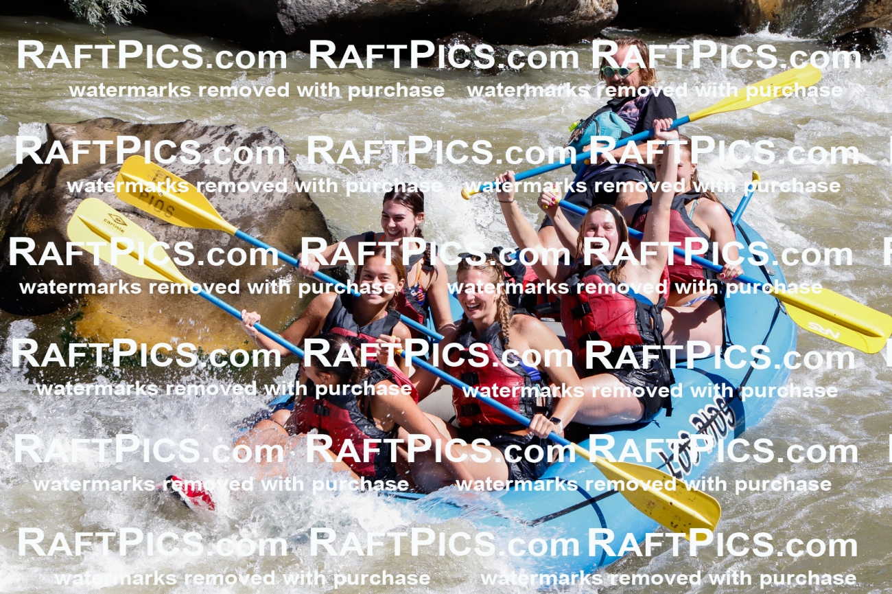 030693_RaftPics_Sept_02_LosRios_Racecourse_AM_Abe_TC_