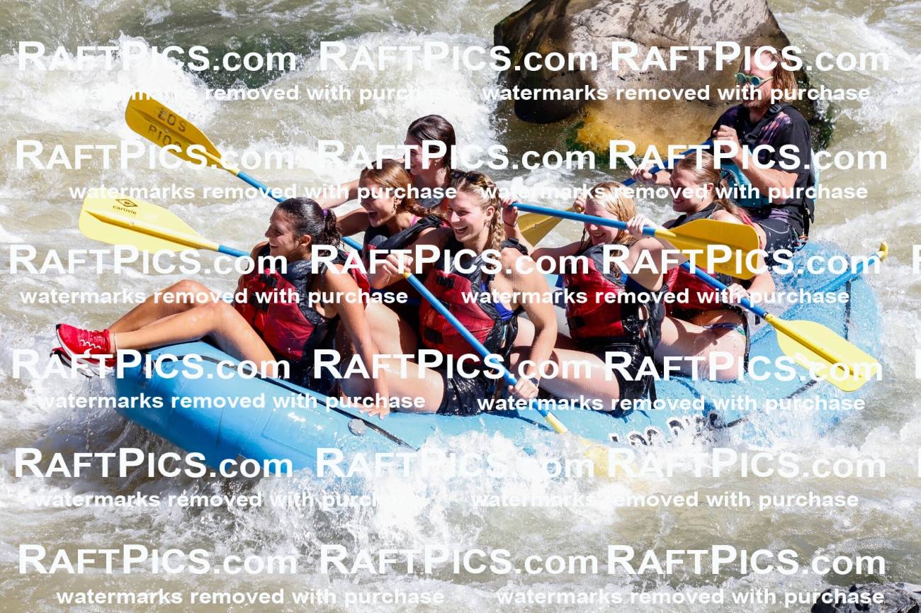 030697_RaftPics_Sept_02_LosRios_Racecourse_AM_Abe_TC_