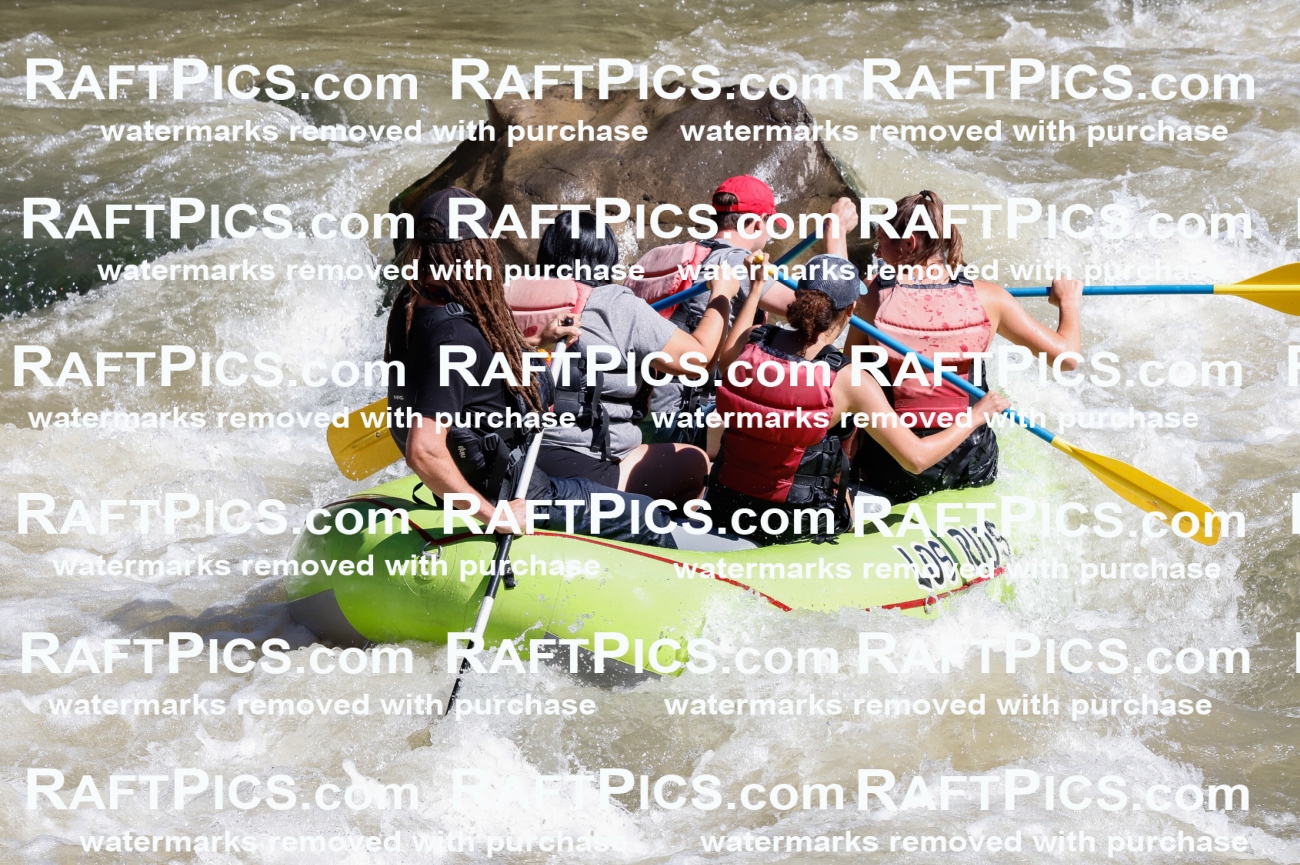 030735_RaftPics_Sept_02_LosRios_Racecourse_AM_Brodie_TC_