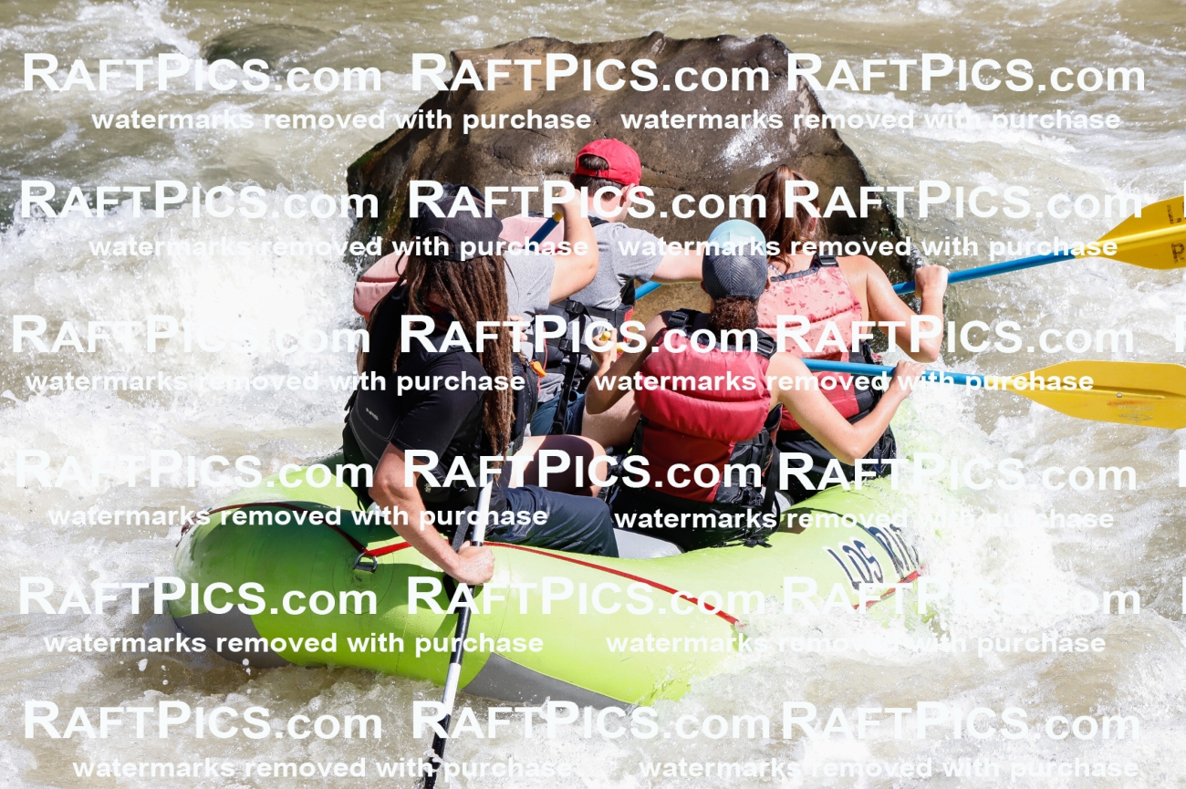 030736_RaftPics_Sept_02_LosRios_Racecourse_AM_Brodie_TC_