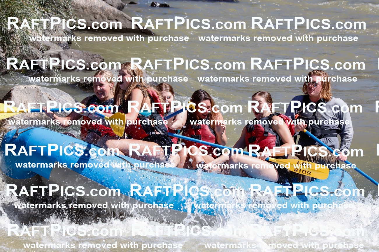 030742_RaftPics_Sept_02_LosRios_Racecourse_AM_Jackson_TC_