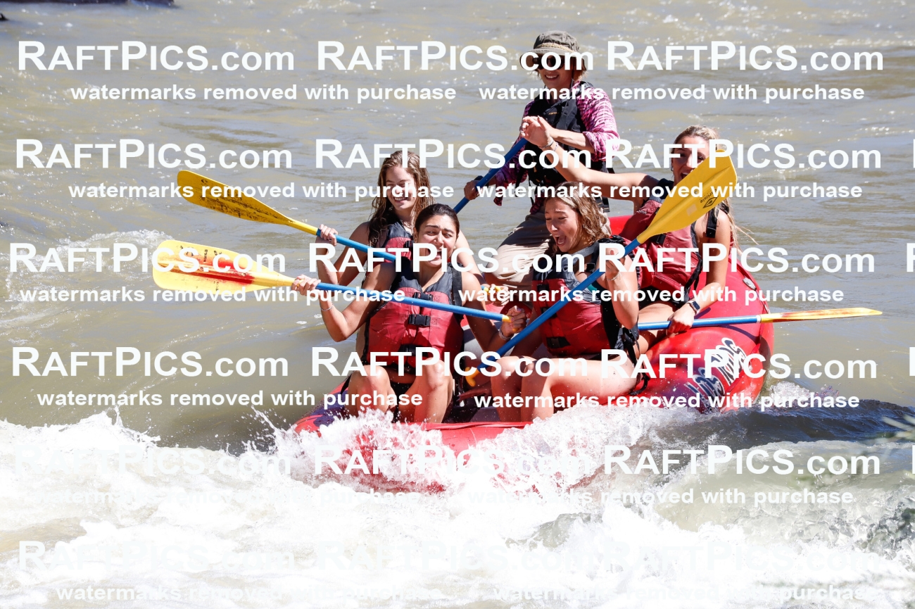 030780_RaftPics_Sept_02_LosRios_Racecourse_AM_Sarah_TC_