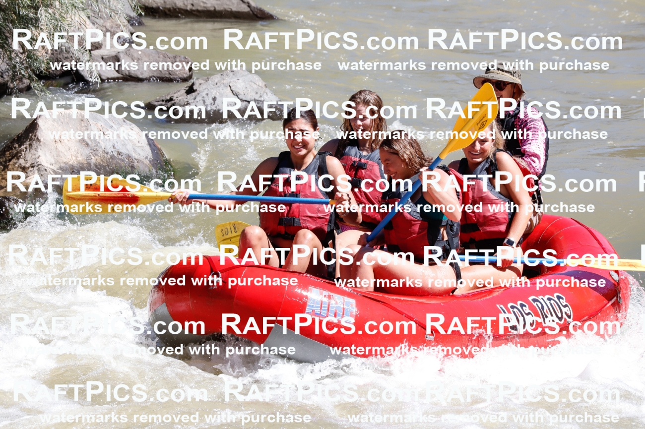 030783_RaftPics_Sept_02_LosRios_Racecourse_AM_Sarah_TC_