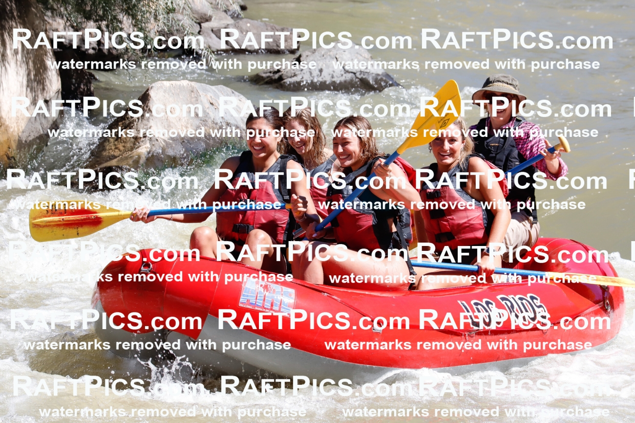 030784_RaftPics_Sept_02_LosRios_Racecourse_AM_Sarah_TC_