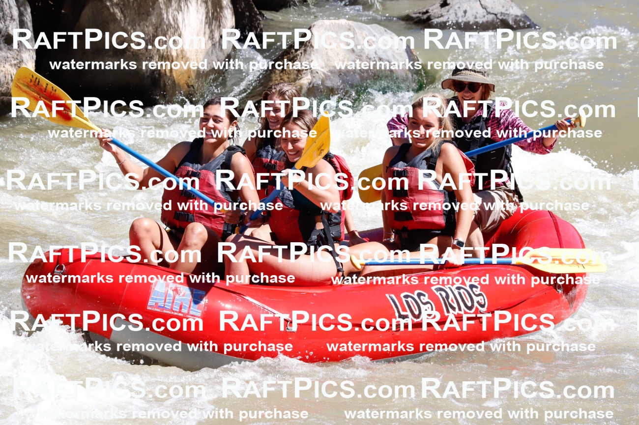 030787_RaftPics_Sept_02_LosRios_Racecourse_AM_Sarah_TC_