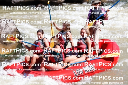 030790_RaftPics_Sept_02_LosRios_Racecourse_AM_Sarah_TC_