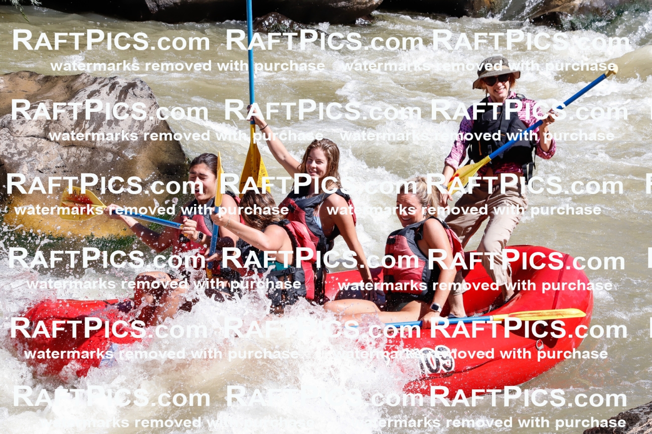 030791_RaftPics_Sept_02_LosRios_Racecourse_AM_Sarah_TC_