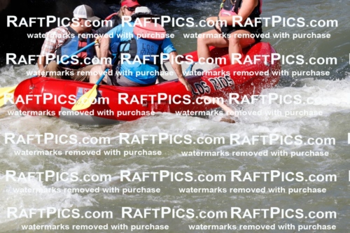 030901_RaftPics_Sept_03_LosRios_Racecourse_PM_Rachel_TC_