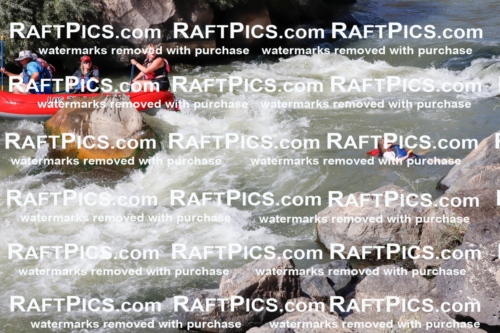 030906_RaftPics_Sept_03_LosRios_Racecourse_PM_Rachel_TC_