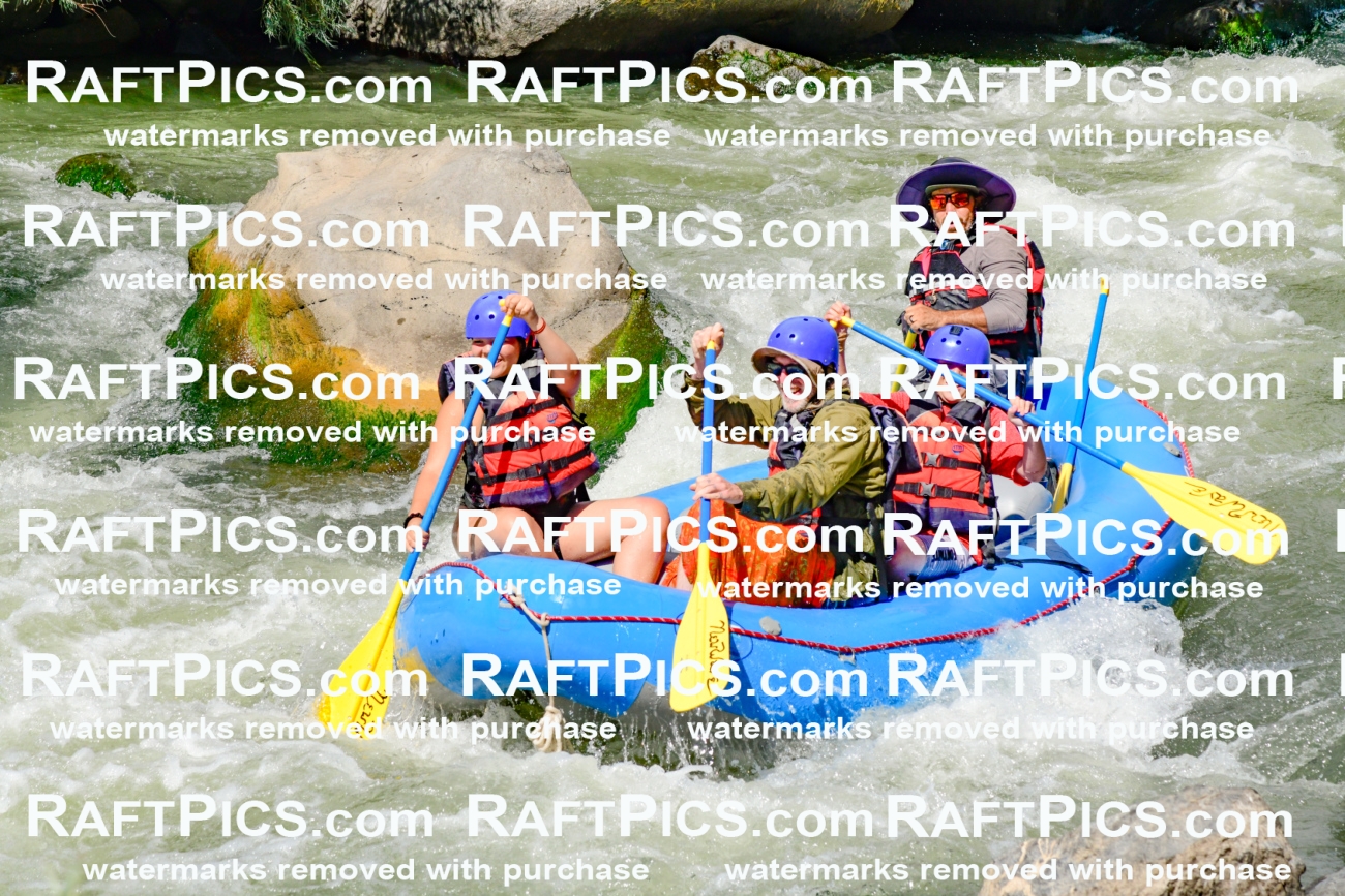 010932_Raftpics_September-07__LOS_RIOS__Racecourse_PM_KA_Elias_KLA0299