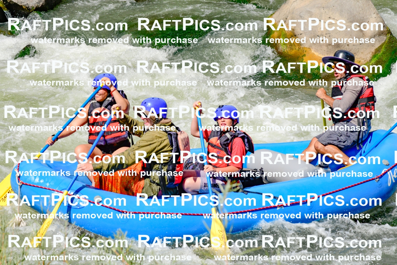 010940_Raftpics_September-07__LOS_RIOS__Racecourse_PM_KA_Elias_KLA0307