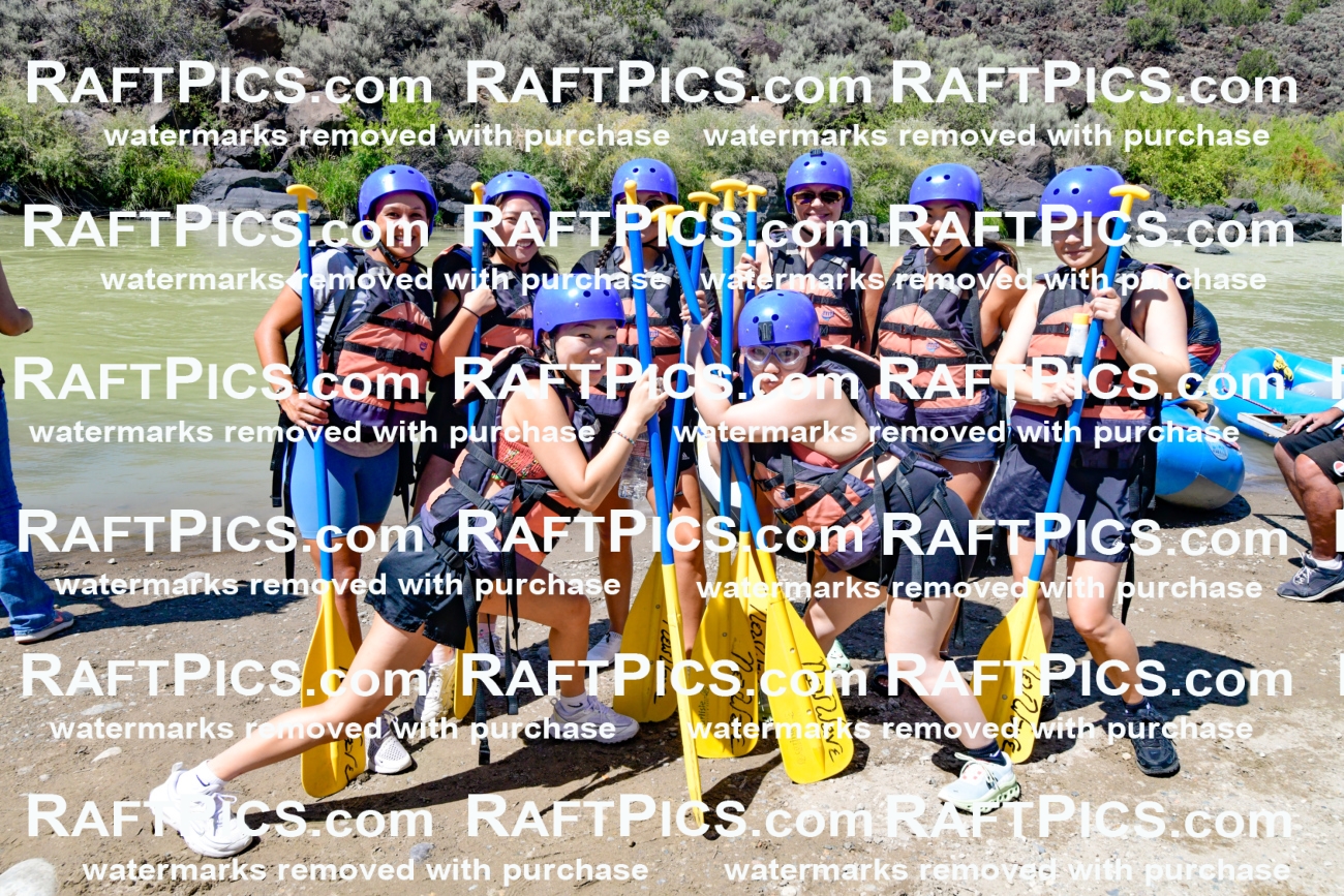 010993_Raftpics_September-07__NEW_WAVE__Racecourse_PM_KA_Group_KLA0217