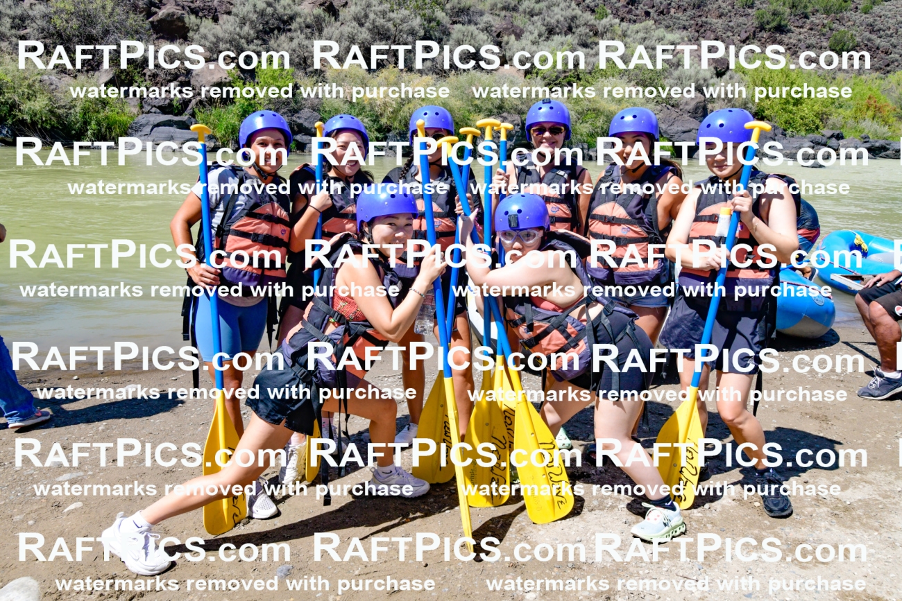 010994_Raftpics_September-07__NEW_WAVE__Racecourse_PM_KA_Group_KLA0218