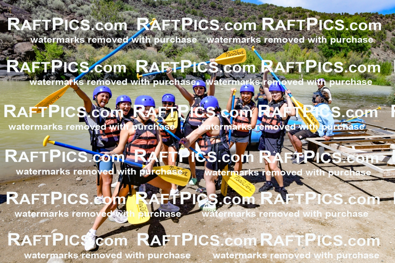 011001_Raftpics_September-07__NEW_WAVE__Racecourse_PM_KA_Group_KLA0225