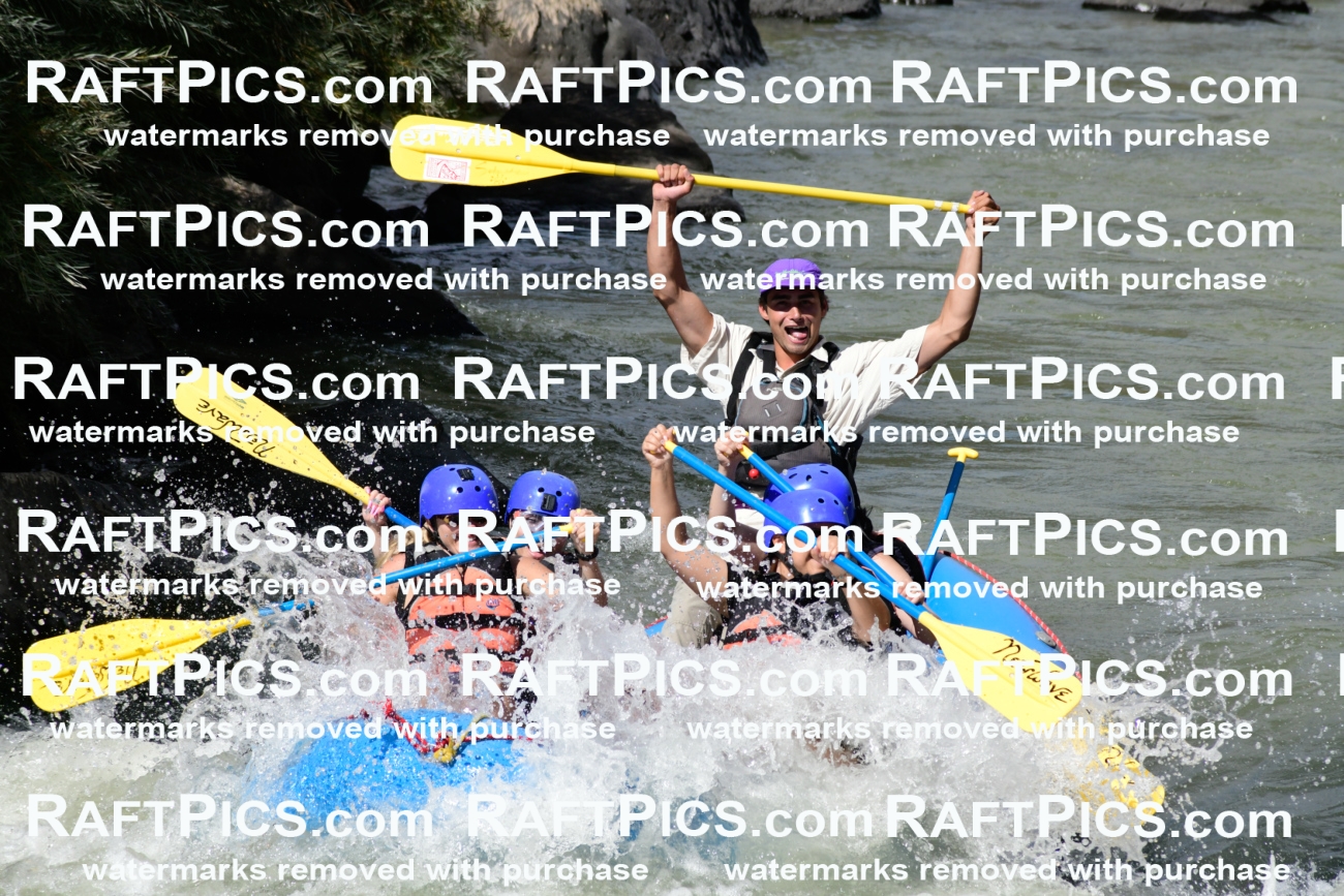 011003_Raftpics_September-07__NEW_WAVE__Racecourse_PM_KA_Rui_KLA0356