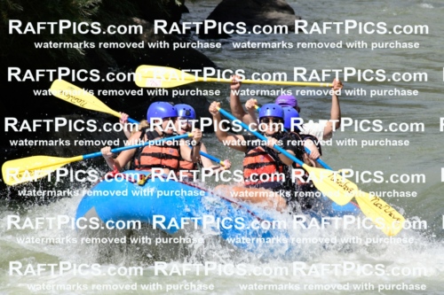 011005_Raftpics_September-07__NEW_WAVE__Racecourse_PM_KA_Rui_KLA0358