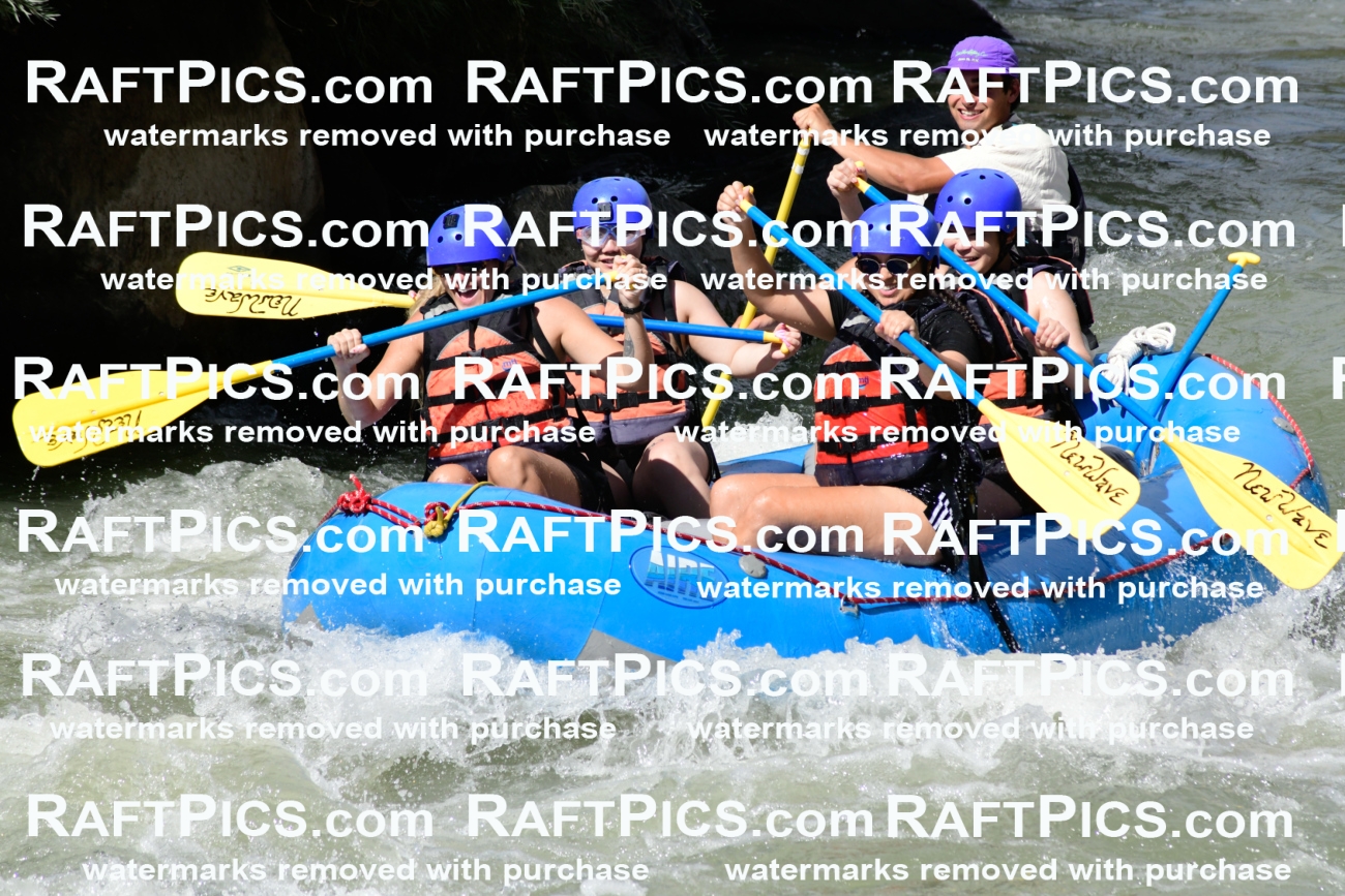 011008_Raftpics_September-07__NEW_WAVE__Racecourse_PM_KA_Rui_KLA0361