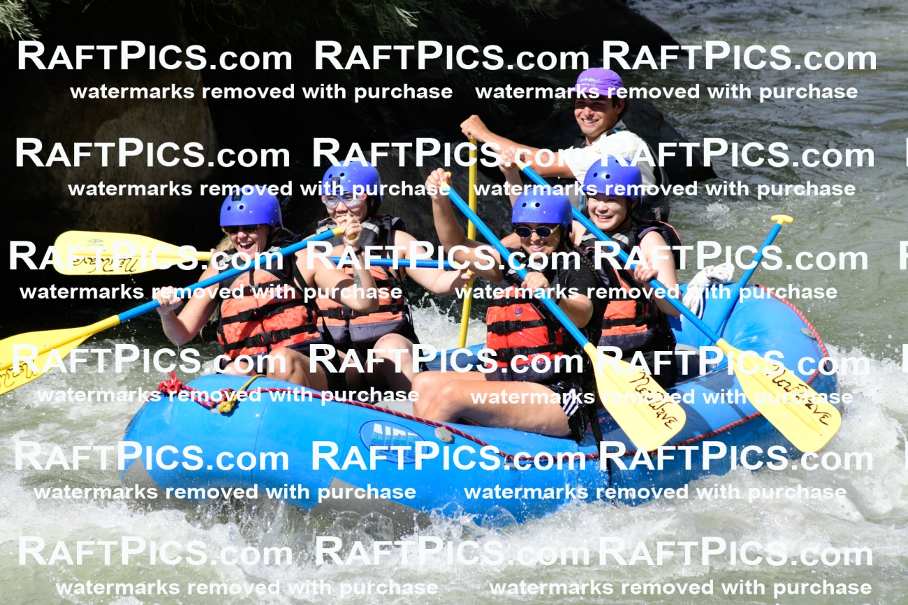 011009_Raftpics_September-07__NEW_WAVE__Racecourse_PM_KA_Rui_KLA0362