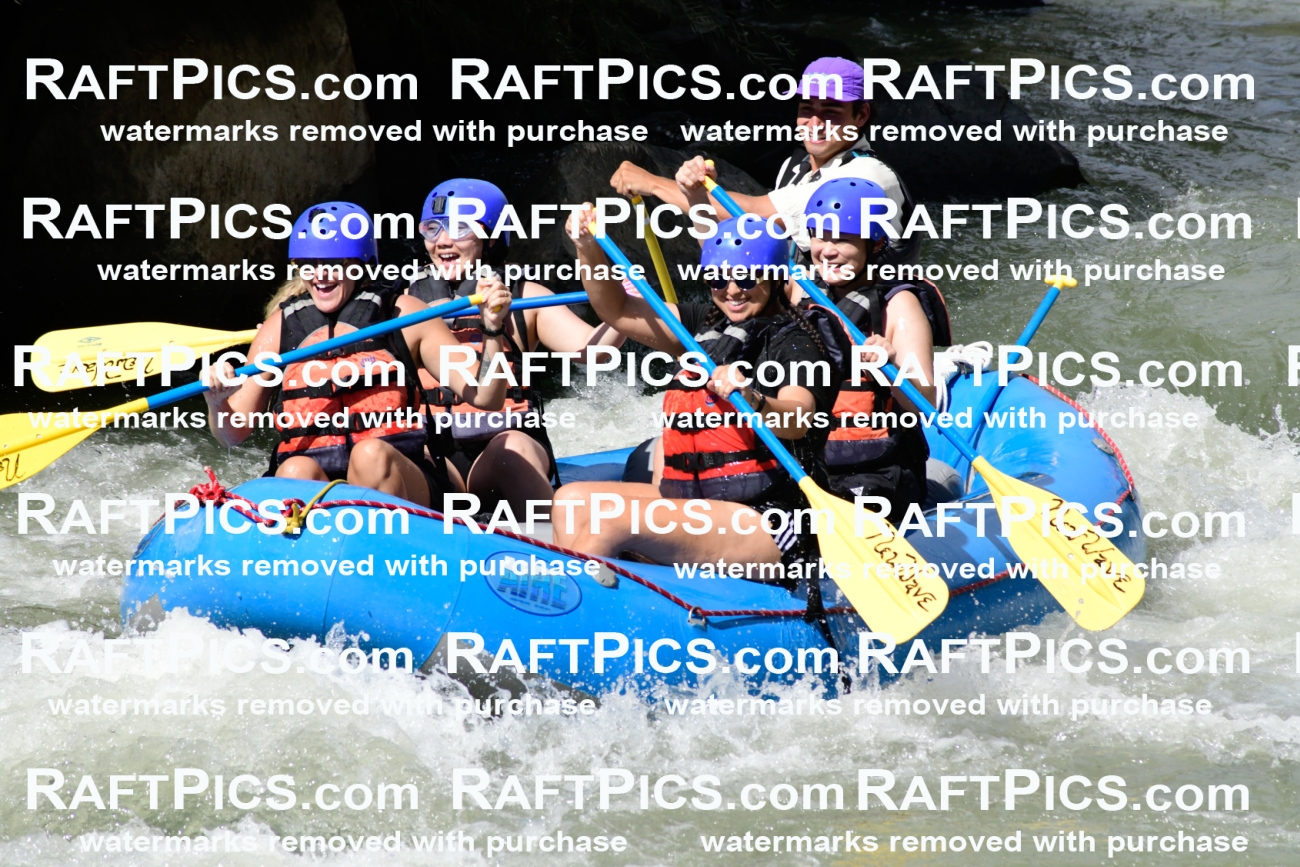 011010_Raftpics_September-07__NEW_WAVE__Racecourse_PM_KA_Rui_KLA0363